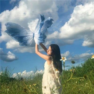 傻瓜拳击手